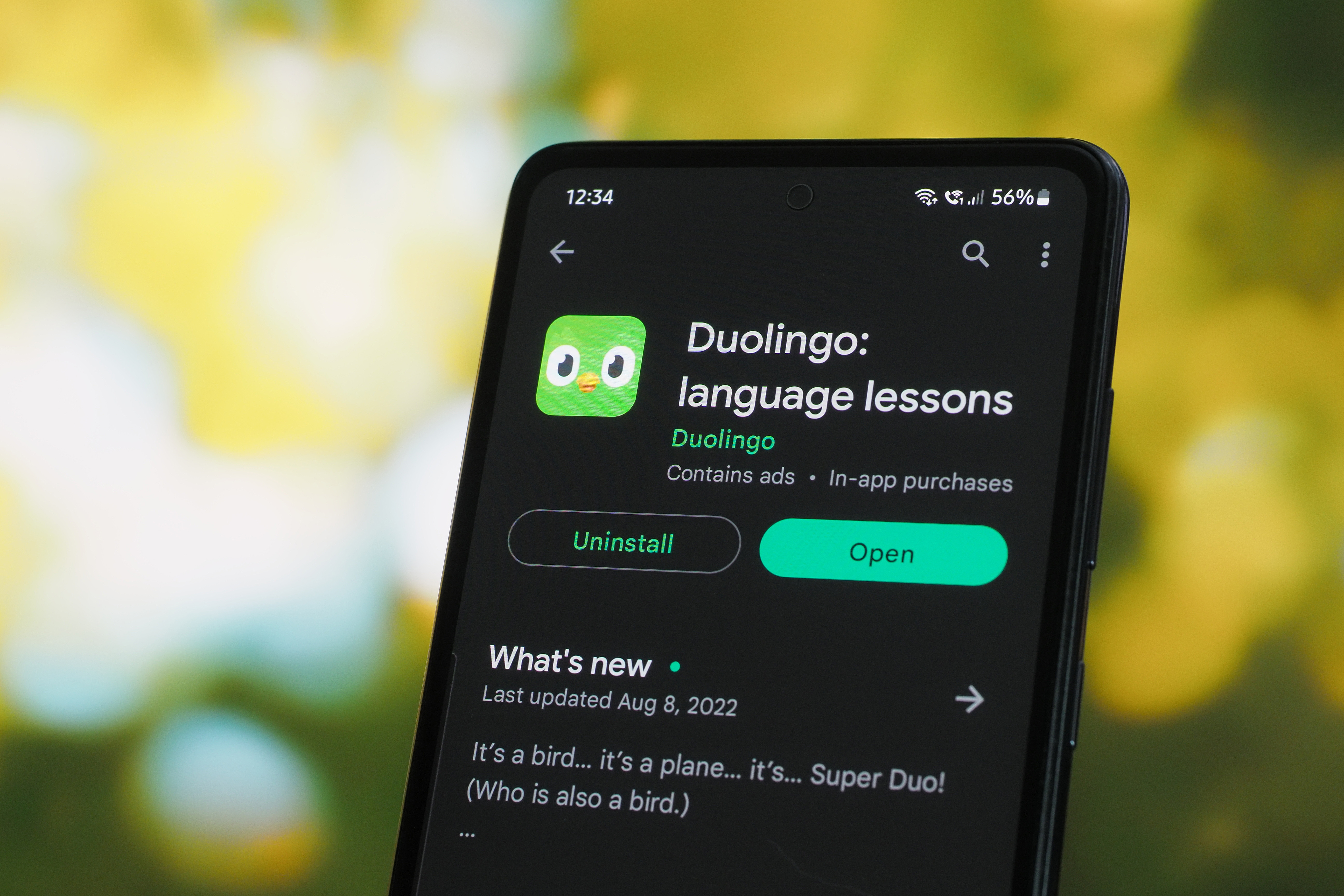 РКН начал проверку Duolingo на предмет наличия ЛГБТ*-пропаганды