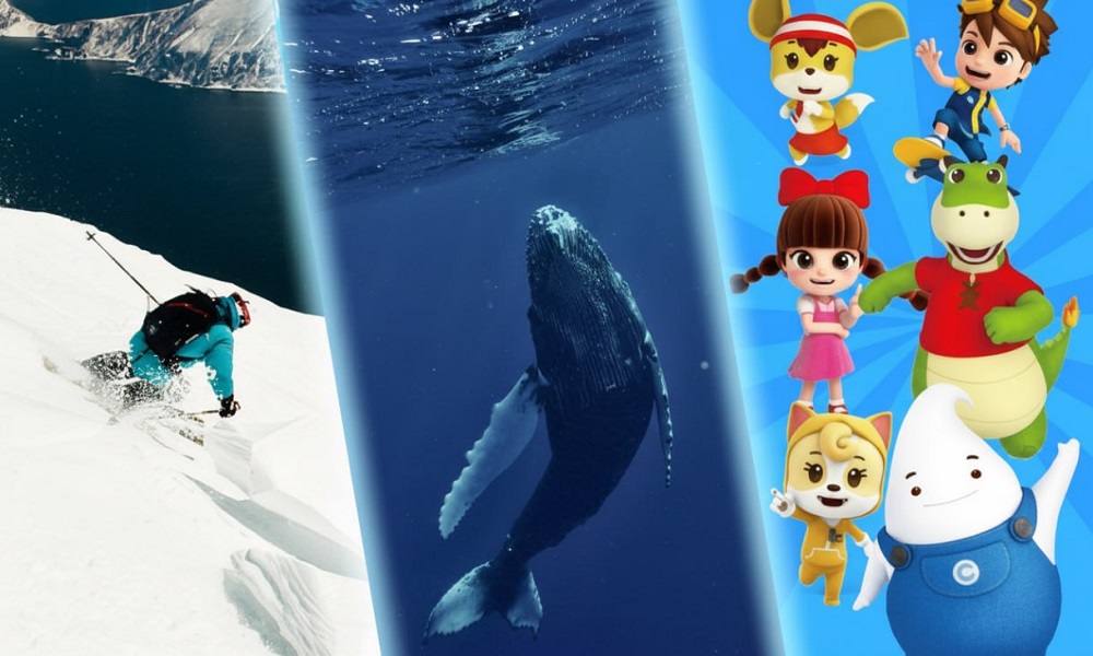 МБГ разместила на «Медиабазе» каталоги с анимационным и познавательным контентом