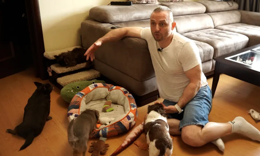 Суровые будни пожарных и укрощение домашних «тигров»: дайджест премьер на телеканалах «Первого ТВЧ»